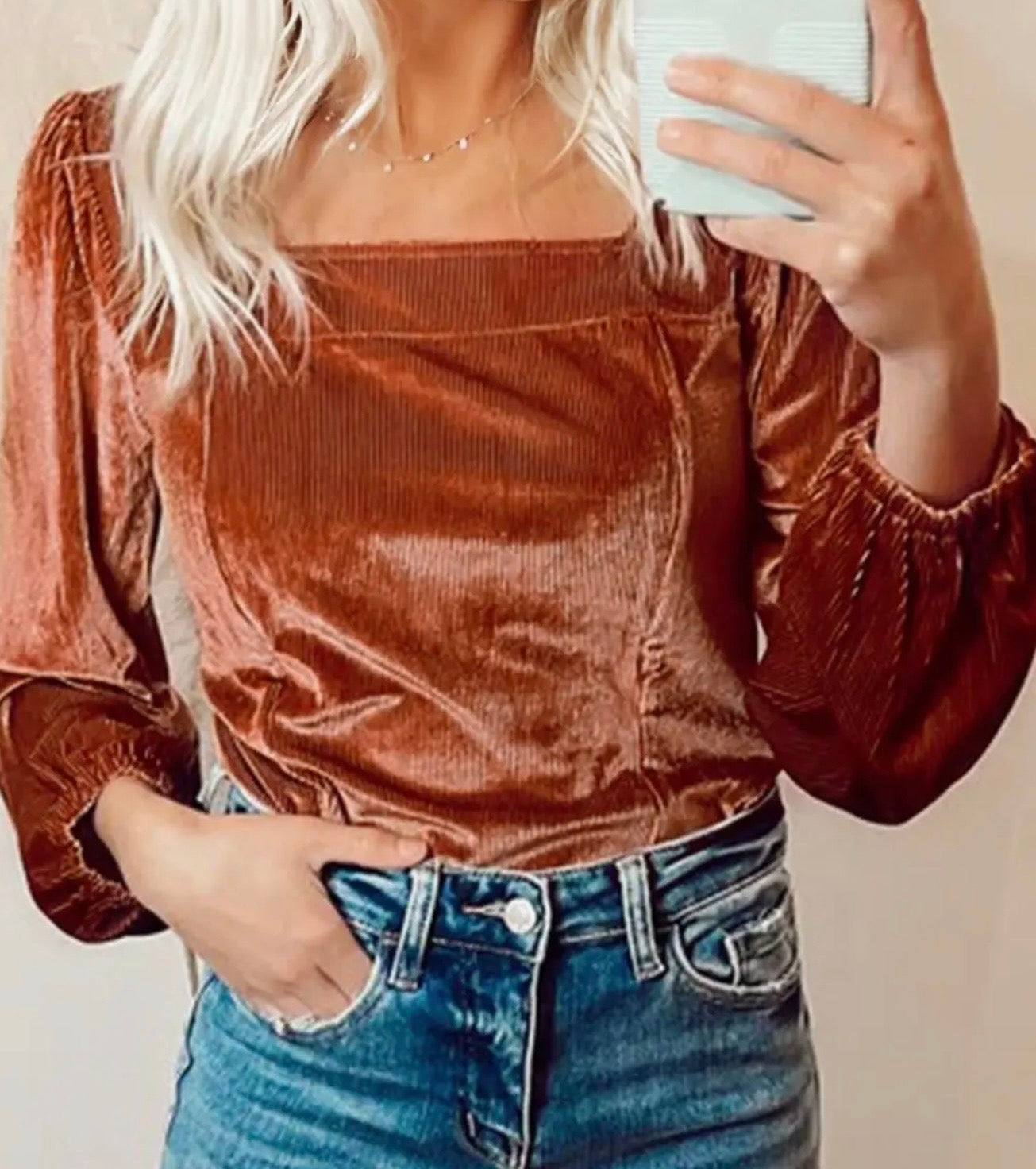 Velvet Ribbed Puff Sleeve Top